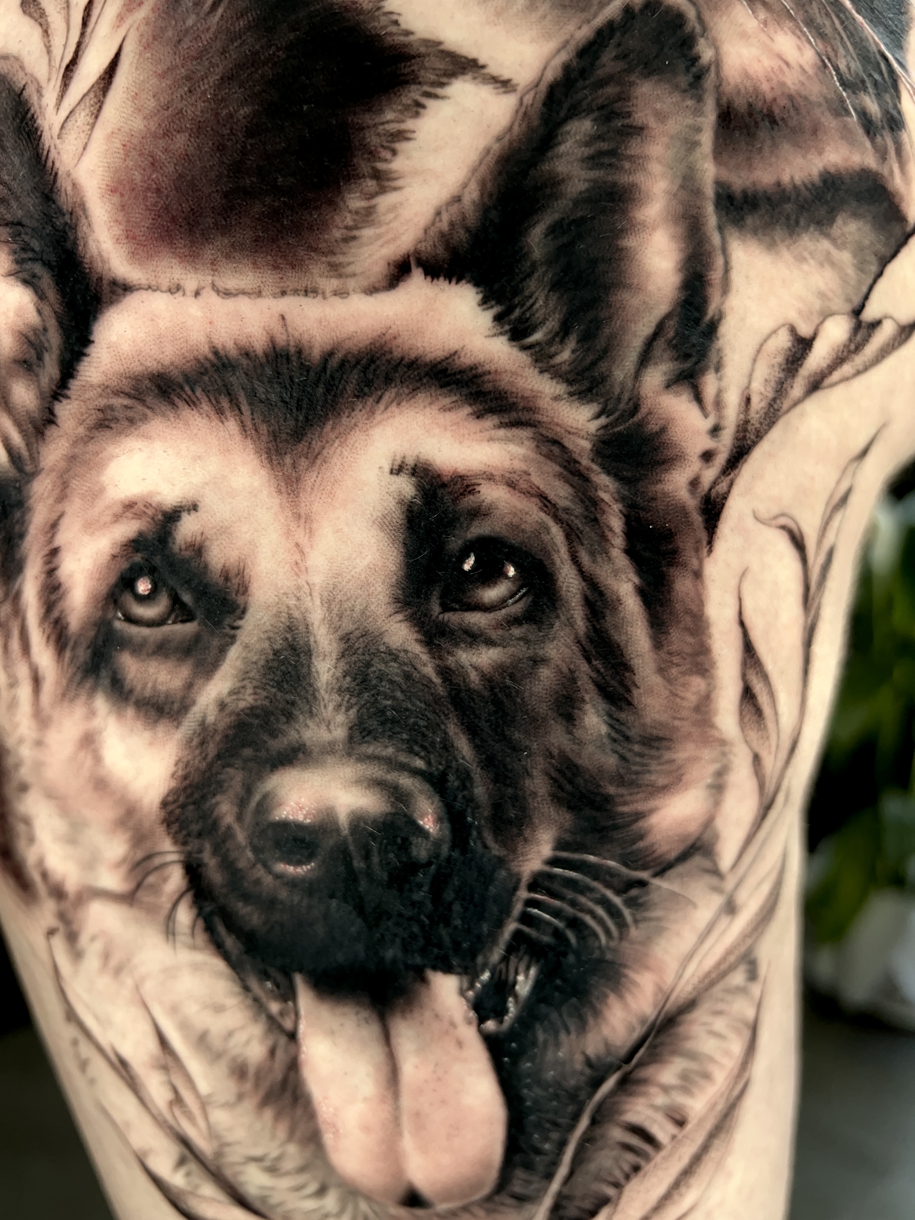 Cat and Dog 2